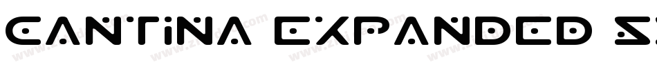 Cantina Expanded SSi Semi Expanded字体转换